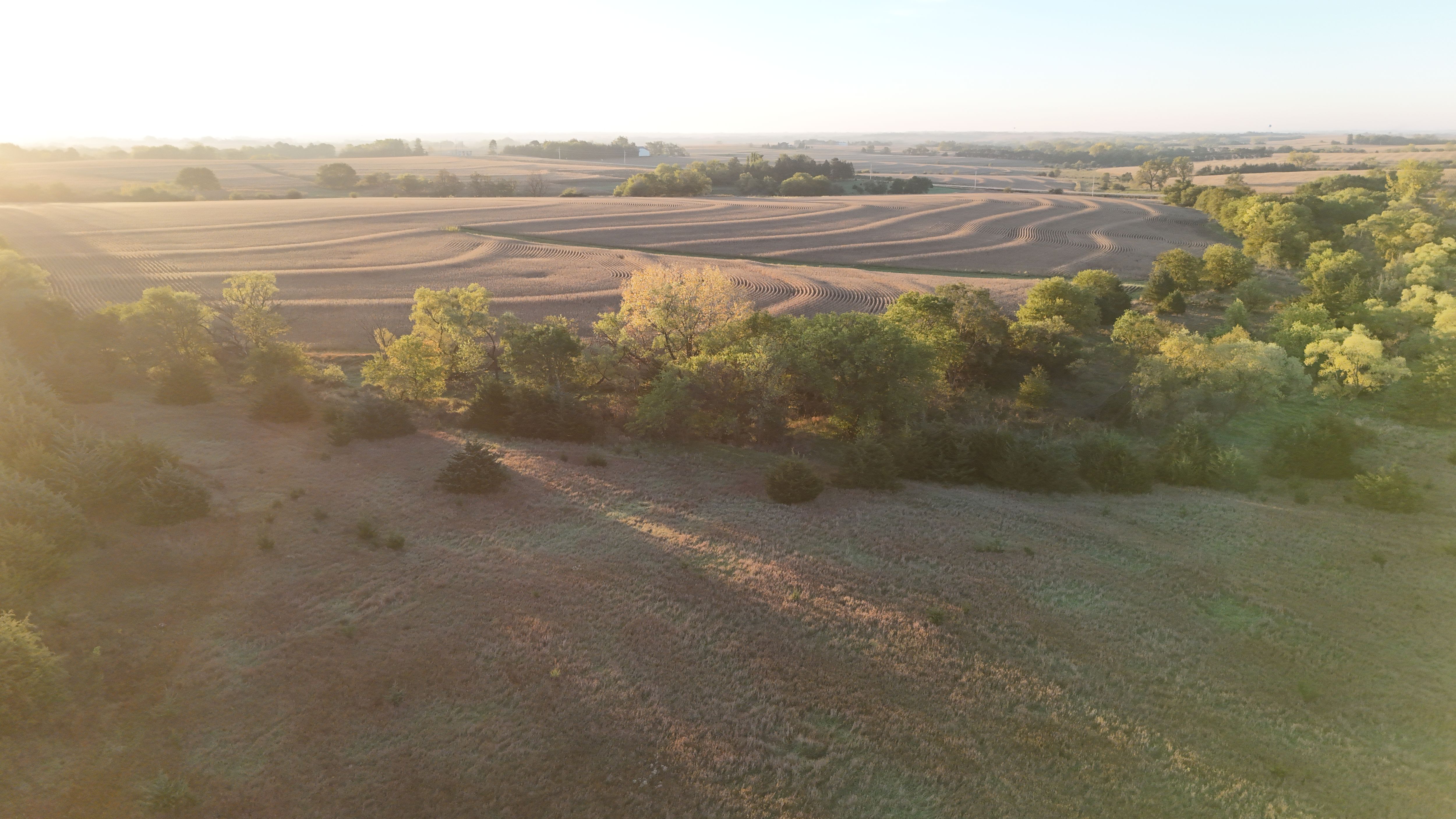 Listing Photo: lancaster-county-ne-125-acres (9)